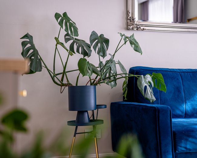 Apartament Książęcy - Oficyna Północna, budynek nr 4